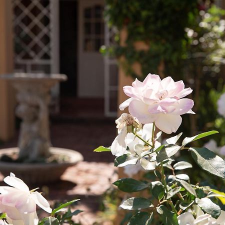 Roses And Pebbles B & B Guest House Klerksdorp Exterior foto
